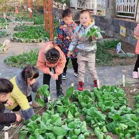 明德幼儿园中班组生活体验馆_美味的青菜面