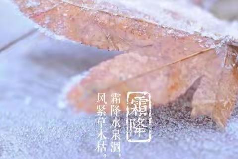 《二十四节气—霜降》