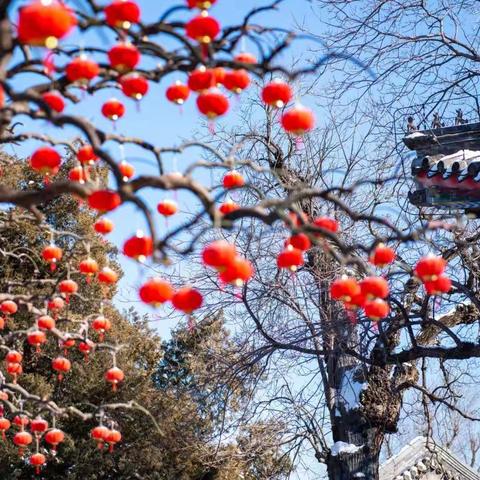 雪后的颐和园美成了一幅画