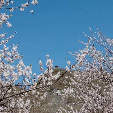 春天最美的公路