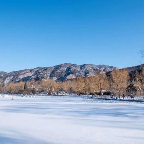 静谧，浪漫的雪后