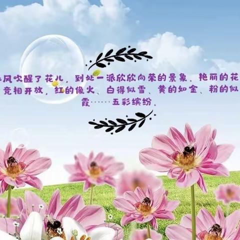 《军幼宅家乐活动计划》——中班组——科学活动《花儿水中开》