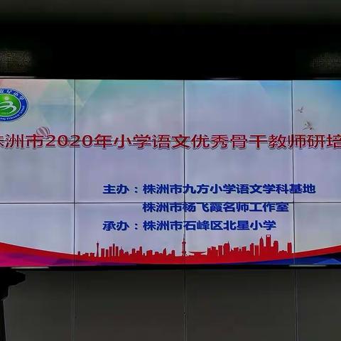 因真实而精彩，因扎实而优秀——记株洲市2020年小学语文优秀骨干教师研训暨石峰区小学语文教师第一期研训活动