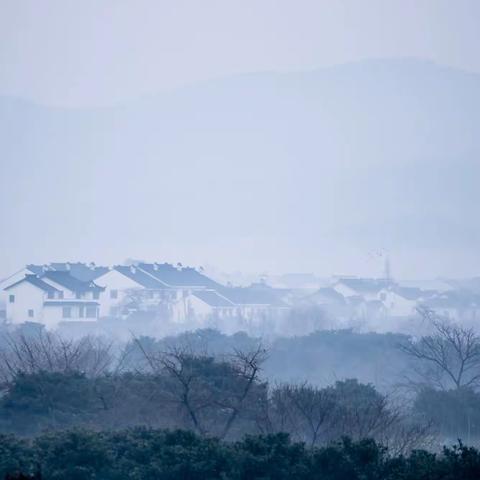 枇杷季.苏州东山启园、枇杷采摘一日游