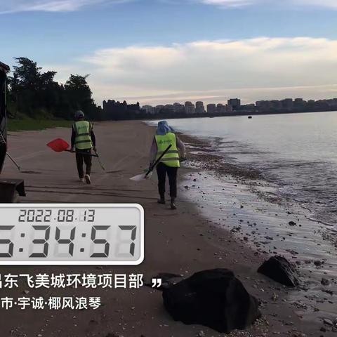 文昌东飞美城对沙滩海岸线进行清理整治