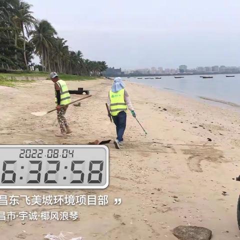 文昌东飞美城对沙滩海岸线进行清理整治