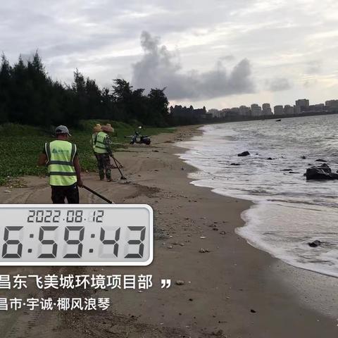文昌东飞美城对沙滩海岸线进行清理整治