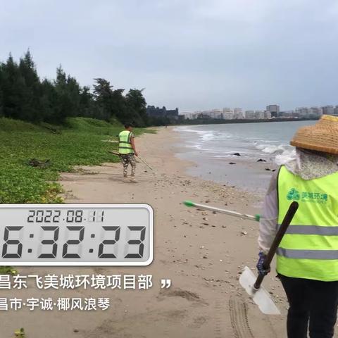 文昌东飞美城对沙滩海岸线进行清理整治