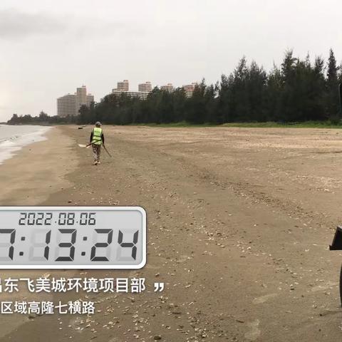 文昌东飞美城对沙滩海岸线进行清理整治