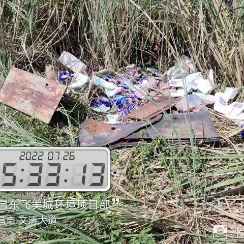文昌东飞美城对清澜片区的卫生进行清理整治