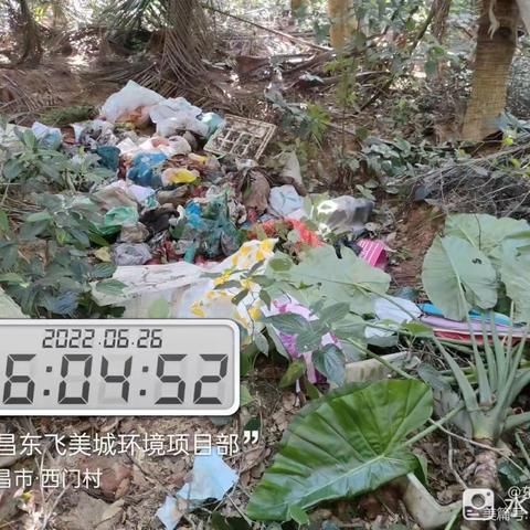 文昌东飞美城环境2022年7月专项整改