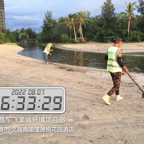 文昌东飞美城对沙滩海岸线进行清理整治