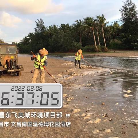 文昌东飞美城对沙滩海岸线进行清理整治