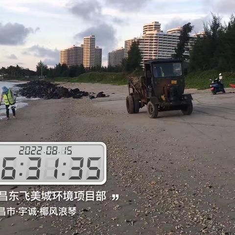 文昌东飞美城对沙滩海岸线进行清理整治