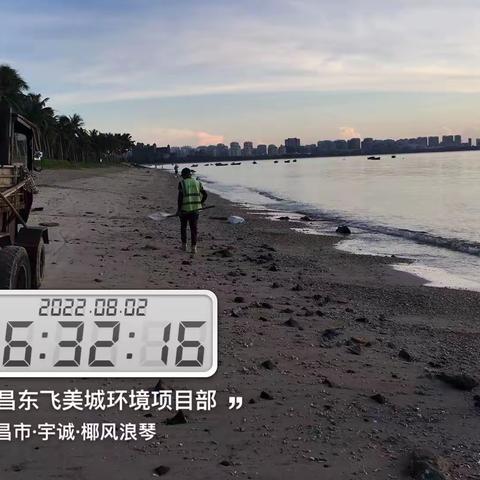文昌东飞美城对沙滩海岸线进行清理整治
