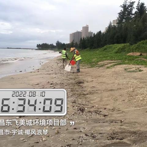 文昌东飞美城对沙滩海岸线进行清理整治