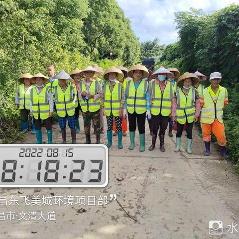 文昌东飞美城对清澜片区的卫生进行清理整治