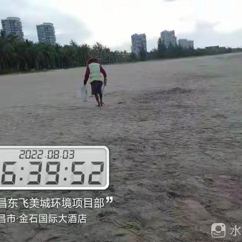 文昌东飞美城对沙滩海岸线进行清理整治