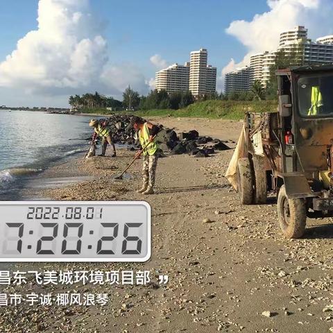 文昌东飞美城对沙滩海岸线进行清理整治