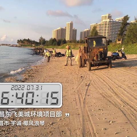 文昌东飞美城对沙滩海岸线进行清理整治