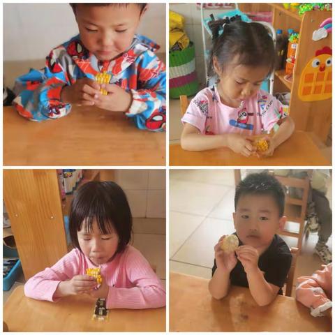 小街中心幼儿园——2021-2022春季下学期小一班班本课程与你相“玉”，玉米相识记！