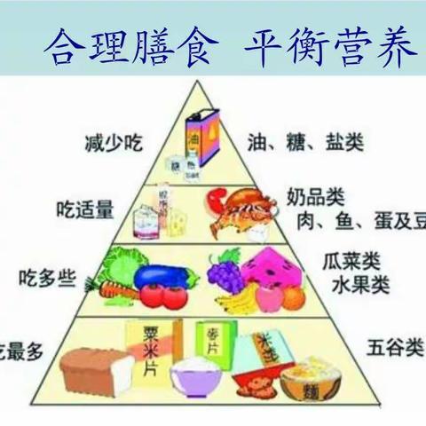 科学健康，合理膳食