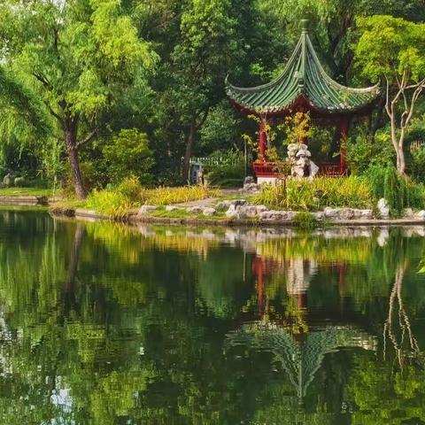 顶着炎炎热浪 闲游长风公园