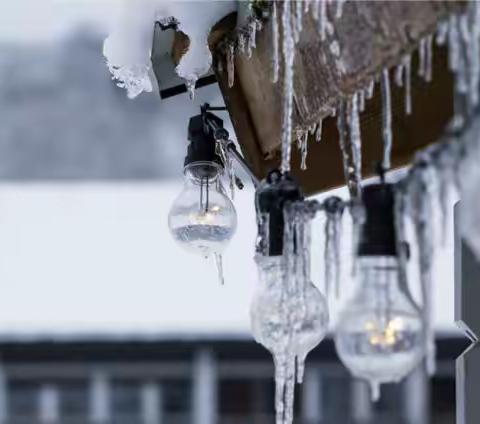 小雪到，冬始俏 ——“小雪”节气大二班主题活动