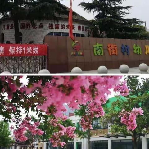 南街幼儿园小班科学组同心抗疫“停课不停学”活动