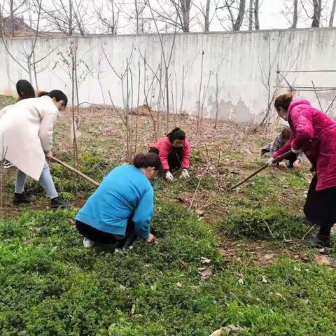 白象面业开展植树节活动