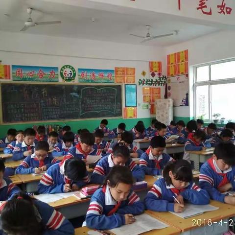 魏僧寨实验小学班级文化评比活动