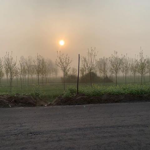 朝霞无限好 夕阳寒了心