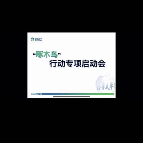 沈阳中心支公司召开“啄木鸟”行动专项启动会