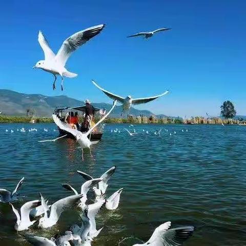 献给驻点石屏专班带头人---李松波        祝生日快乐！