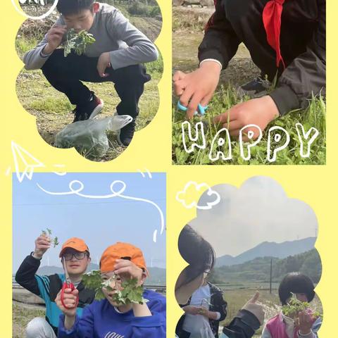 悠悠艾草香，清明包青团