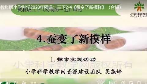三年级 科学《蚕变了新模样》