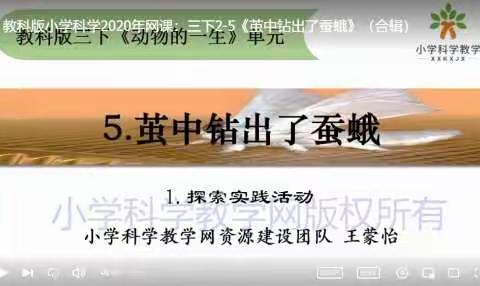 三年级 科学《茧中钻出了蚕蛾》