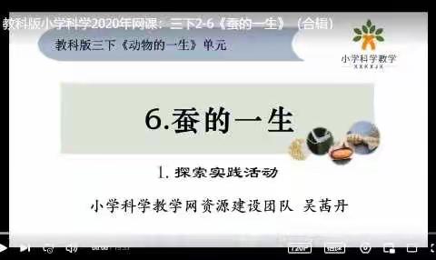 三年级 科学《蚕的一生》