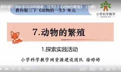 三年级 科学 《动物的繁殖》