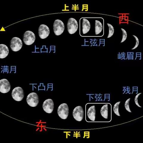 三年级 科学《月相变化的规律》