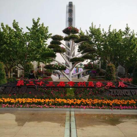 常州市月季花展漫游