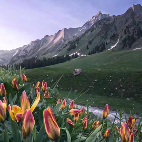 你知道人体缺乏维生素B2的危害性吗？