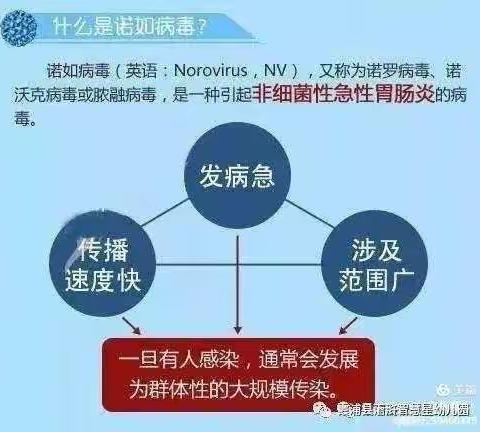 诸佛庵镇幼儿园诺如病毒防治宣传篇