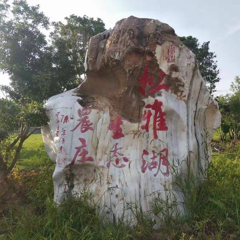 人生聚散时无常，情谊不断永香醇，高山流水7月情，黄山家人一家亲……