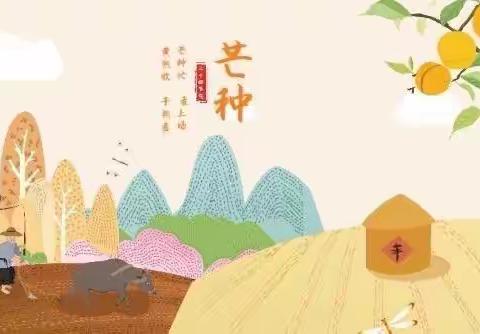 傲梅六班二十四节气——芒种