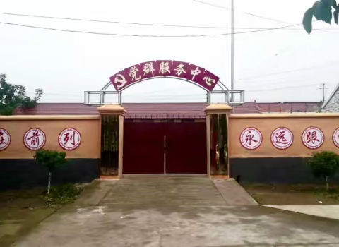 桃园岭村扎实做好“开门一件事”活动