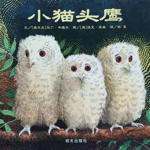 绘本故事—《小猫头鹰🦉》
