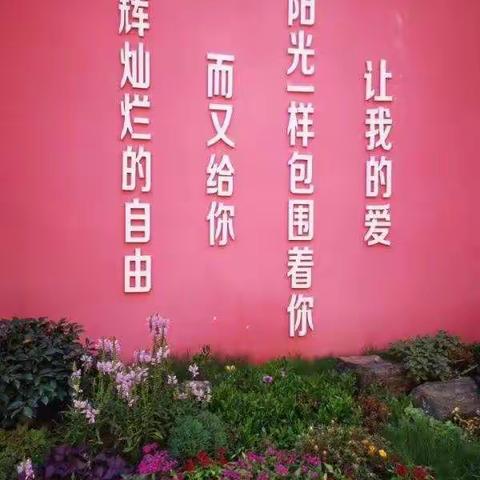 2020年东下池小学新教师入职仪式