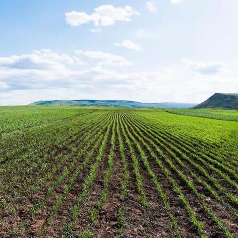 襄垣县违法占用耕地摸排记录