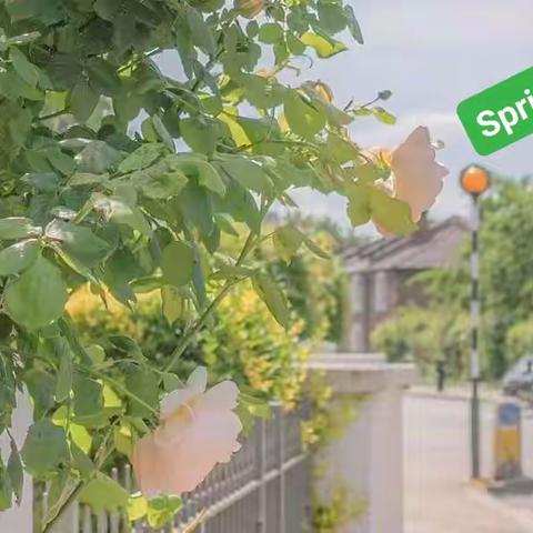 春回大地，万物更新，绿意与生机也正在萌芽，一树年轮，一城风景，一棵树苗，时间让它慢慢参天🌱